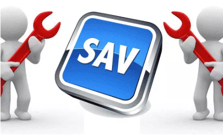 sav_6698f33f5f3935.25020589.PNG?v=255